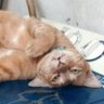 Patsanun profil fotoğrafı