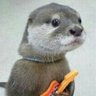 Profilbild von Delwmega