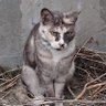 teranao's profile picture