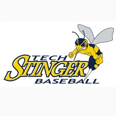 Flo-Dar Tech Stingers Baseball's profile picture