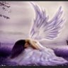 Spirit_Eagle1 的头像