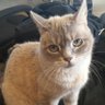 BusWindow's profile picture