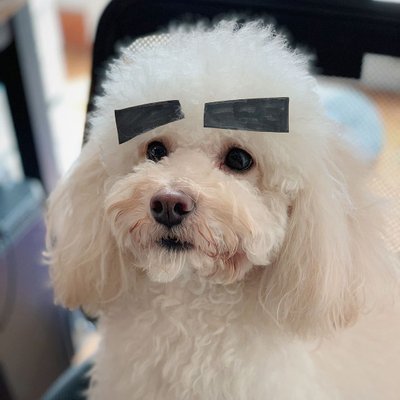 SenZh4's profile picture