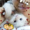 Mina profil fotoğrafı