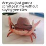 clacker clickity 的头像