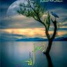 نسر دمشق's profile picture