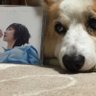 おじゃバジル 的头像