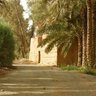 طريق زراعي 的头像