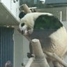 みかん 的头像