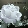 H N P Sinha's profile picture