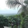 Original Ethnonationalist Gangster profil fotoğrafı