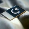 Unmber Ashraf's profile picture