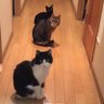 kayosana profil fotoğrafı
