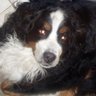 Profilbild von Moune