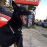 aleks cervantes profil fotoğrafı