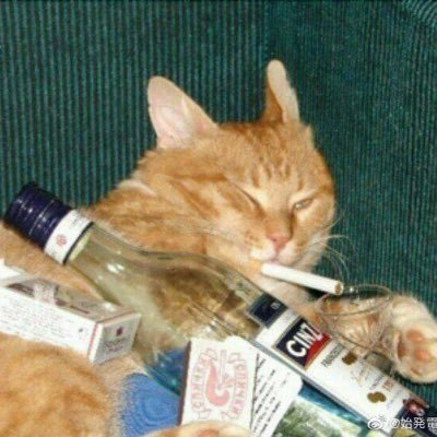 pinkoranges7's profile picture