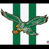 Go Birds!! profil fotoğrafı