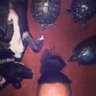 Oze profil fotoğrafı