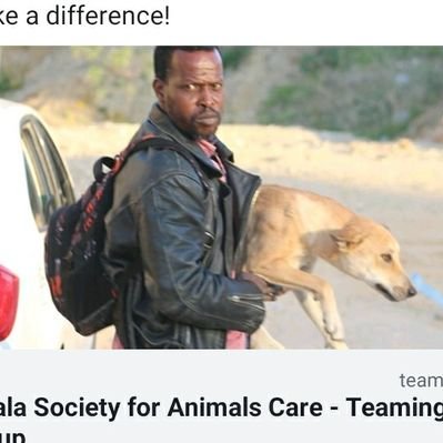 Sulala Animal Rescue's profile picture