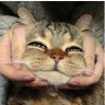 NNN's profile picture