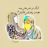 Фото профиля ابومحمد