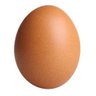 Still an egg's profile picture