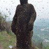 Фото профиля Repellant