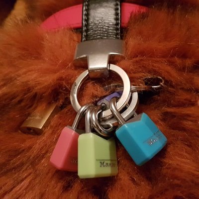 MidnightPlushPet's profile picture