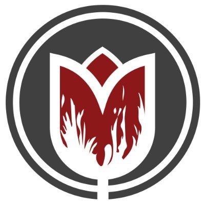 viceroyresearch's profile picture