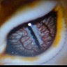 Steve's profile picture