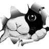Profilbild von Tseug
