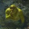 Фото профиля Hyper_Shrek