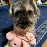 くんくん profil fotoğrafı