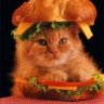 Profilbild von Michael Haze