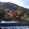 Profilbild von しずく