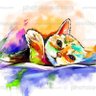 Hudhud's profile picture