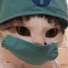 Dr.Miau profil fotoğrafı