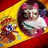 Profilbild von el gato escaldado
