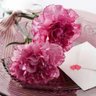 ويبقى الوفا💕 profil fotoğrafı