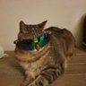 Profilbild von Julia007