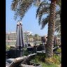 جلنار 的头像
