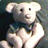 Whiffert_the_Kat - whiffert.bsky.social's profile picture