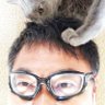 マック堺's profile picture