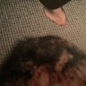 slavevegas's profile picture