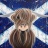 Profilbild von Beth McElroy 🏴