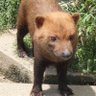⊿しゅに⊿ 的头像