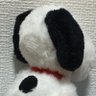 おこめちゃん profil fotoğrafı