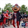 Buckeye Jen's profile picture