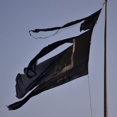 mhrezaa2's profile picture