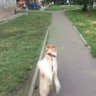 Фото профиля Тот кто тебя приютил